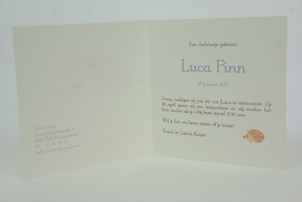 geboortekaartje luca lila